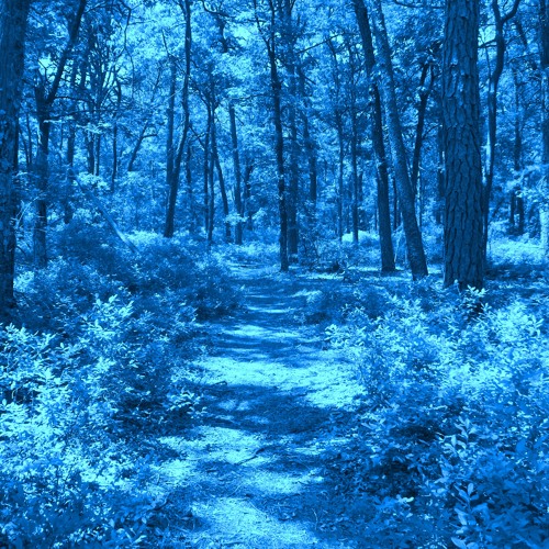 Ajna - Through The Silent Azure Paths