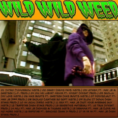 11 Sex ft. Max Jr (Not Your Average Guy instr.)[Wild Wild Weed]