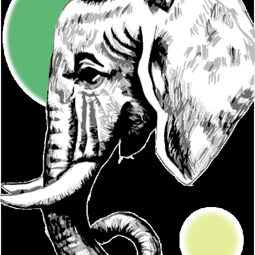 Elephant Eyes - India