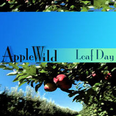 Applewild , Love Is The Only Game
