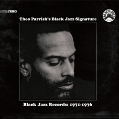 theo parrish black jazz signature mix