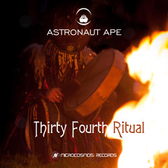 Astronaut Ape - Thirty Fourth Ritual (Free download)