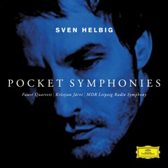 Listening Guide - Sven Helbig - Pocket Symphonies