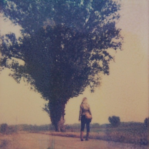 We Are Trees - To Build A Mountain