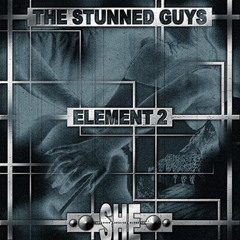 The Stunned Guys - We control the bass