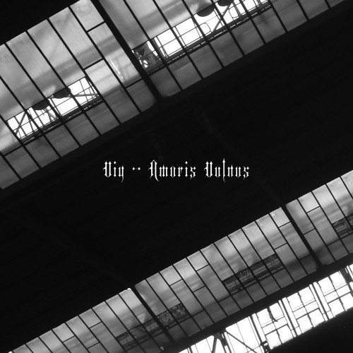 Viy - Amoris Vulnus - SNIPPETS