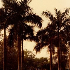 Summer EP 2009 - 03 summer