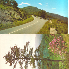 Shenandoah Suite (5 hours in Los Angeles) for Madison (mark so, 2013)