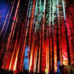 Dub Knight Live @ Electric Forest - Silent Disco