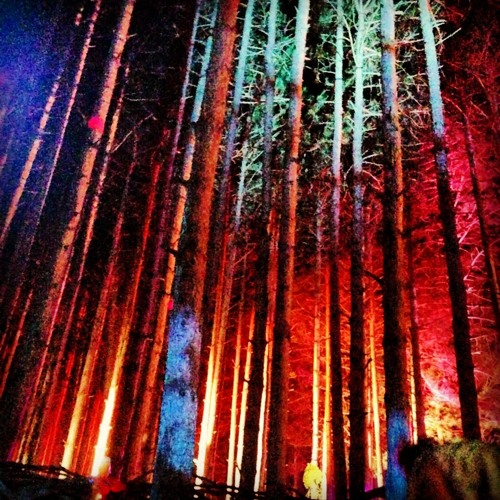 Dub Knight Live @ Electric Forest - Silent Disco