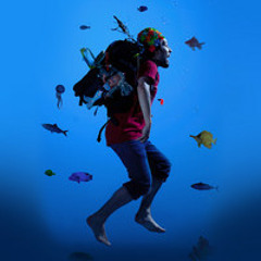 Chez moi y a un lama... - Hippocampe Fou