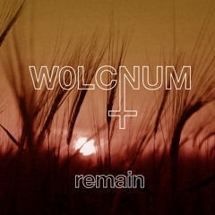 Remain