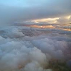 Wish I Could Fly ft. Young Hustle