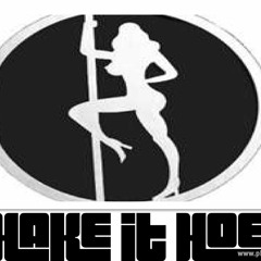 Dj JamMan - Shake It Hoe Mix 2013