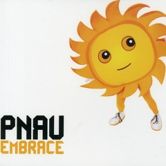 Pnau feat. Ladyhawke - Embrace (Fred Falke Remix)