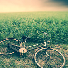 Lonely Bicycle