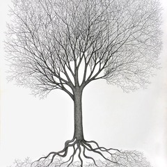 St. Pixie - Root´s of Life