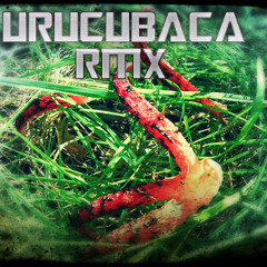 Patara - CapzAttack - Urucubaca RMX [DEMO]