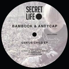 Bambook & Andycap – Directions [Secret Life]