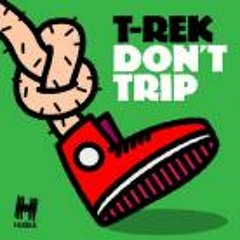 T-Rek - Don't Trip (Orkestrated Remix) Sample