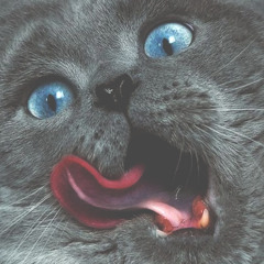 Un peu de tout :)