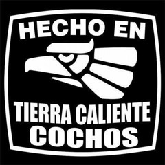 Puro Tierra Caliente Cochos! (Zapateado Mix)