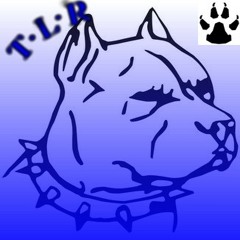 Datson Feat Diken&Tency "Dogside TLR"_2013