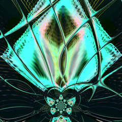 Architecture of the dragonfly