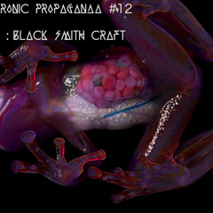 Electronic Propaganda #12 with Black Smith Craft guest mix
