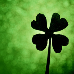 Shamrocks - Julia Bloore