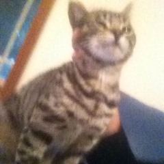 Sounds from Thursday morning