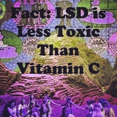 Shrooms in The Afternoon
