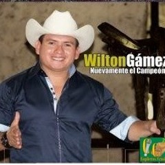 Música Llanera- Wilton Gámez, Juro que te gusto