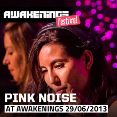 Pink Noise at Awakenings Festival 2013