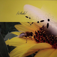 Sub - Minus Ten // 10" Vinyl