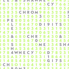 Pele & Shawnecy - Chrome Digits EP