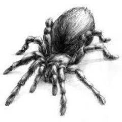 Le wincey ( or the spider in the drainpipe )