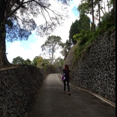 The Climb - Millet Cyrus