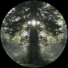 Anthony Rother - God