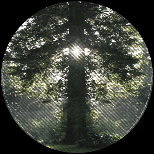 Anthony Rother - God