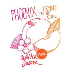 Phoenix - Trying To Be Cool (Walter Sobcek Remix)