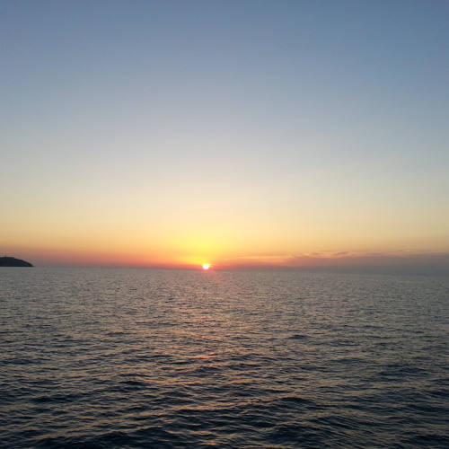 Indecent Noise LIVE @ Driftwood, Ibiza (01.07.13)