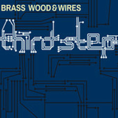 Gustaf dub brass wood and wires el bib dubmix