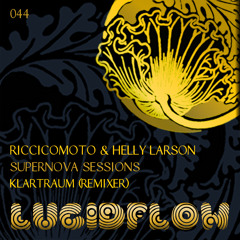 Riccicomoto And Helly Larson - Magnetic Swift (Klartraum Dream Version)