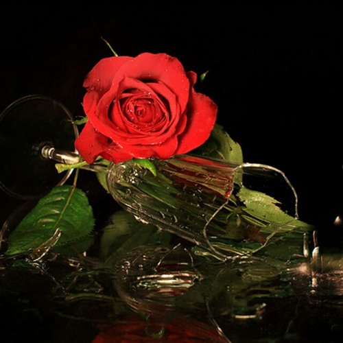 Till They Take My ♥ Away -MYMP