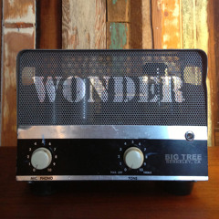 Wonder