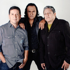 Favoritos