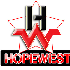 2013 Dancehall Megamix - (Hopewest)