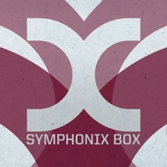 The Man Project Ft. Symphonix (Box)