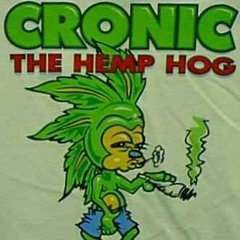 Stoner Life (Prod. By Petty)